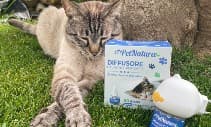 Profitable Pet E-commerce – €10k Avg. Monthly Profit – Established 2025 – Italy Market - Image 1